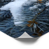 Poster neige sur les branches (Coin)