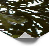 Poster Neige sur les branches À feuillage persistant (Coin)