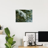 Poster Neige sur une branche d'arbre à pin (Bureau à domicile)