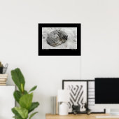 Poster Neige sur une Sibérie (Bureau à domicile)