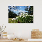 Poster Neige tombant sous le pommier (Cuisine)