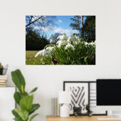Poster Neige tombant sous le pommier (Bureau à domicile)