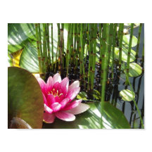 Poster Neklat Zen 27.94x21.59cm