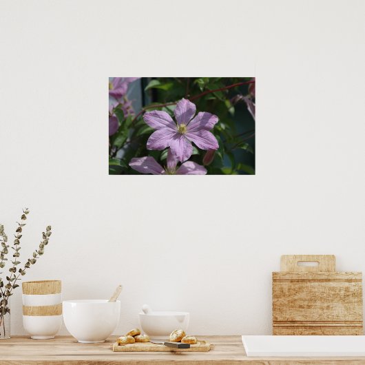 Poster Nelly Moser Clematis 2009 (Cuisine)