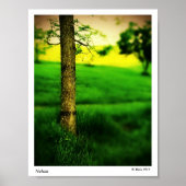 Poster Nelson (Devant)