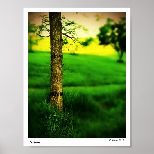 Poster Nelson (Devant)