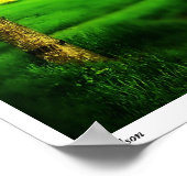 Poster Nelson (Coin)