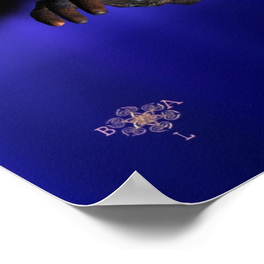 POSTER NEMIS / HYPER ANDROID AVEC ANKH (Coin)