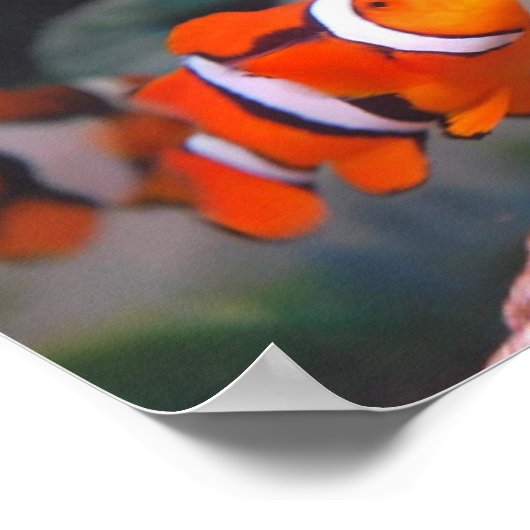 Poster Nemo (Coin)