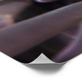 Poster Nemo trouvé (Coin)