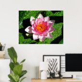 Poster Nénuphar (Bureau à domicile)