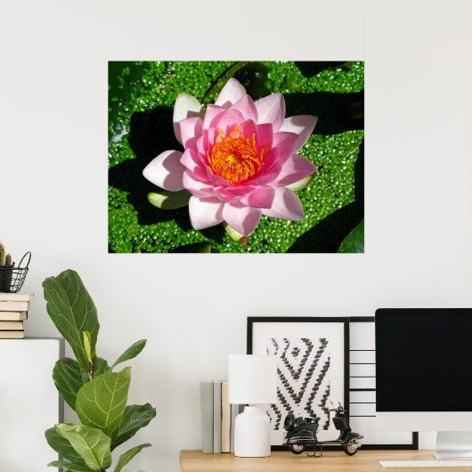 Poster Nénuphar (Bureau à domicile)