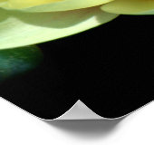 Poster Nénuphar (Coin)