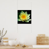 Poster Nénuphar (Cuisine)