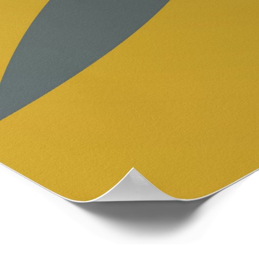 Poster nénuphar (Coin)