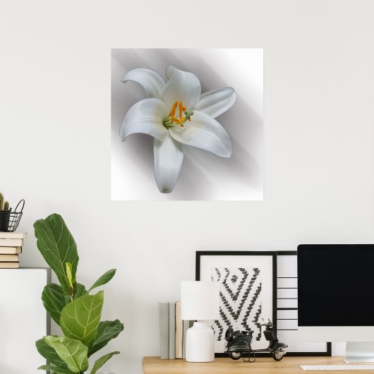 Poster nénuphar blanc (Bureau à domicile)