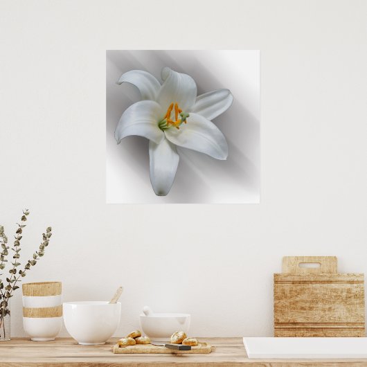 Poster nénuphar blanc (Cuisine)