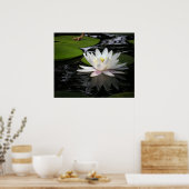 Poster Nénuphar blanc (Cuisine)