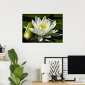 Poster Nénuphar blanc et bud Floral (Bureau à domicile)