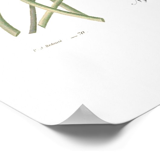 Poster Nénuphar bleu (Coin)