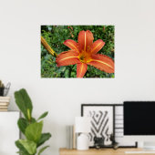 Poster nénuphar brillant (Bureau à domicile)