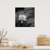 Poster Nénuphar en fleurs (Cuisine)