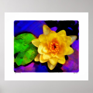 Poster Nénuphar jaune, copie