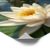 Poster Nénuphar Loutre Rivière Joie (Coin)