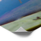 Poster Nénuphar odorant (Nymphaea Odorata) sur Caddo (Coin)