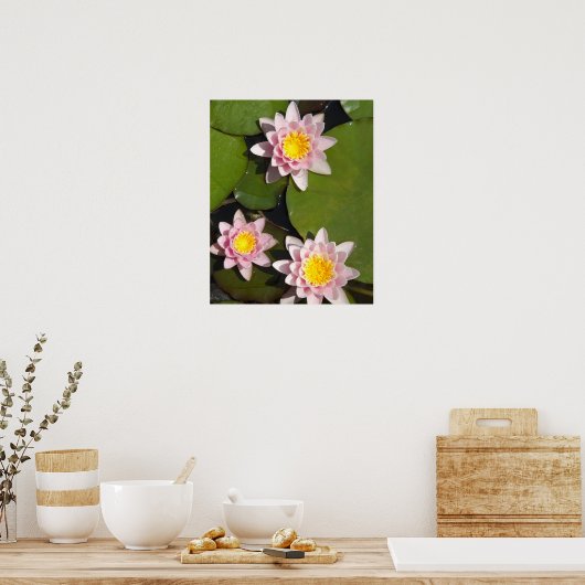 Poster Nénuphars (Cuisine)