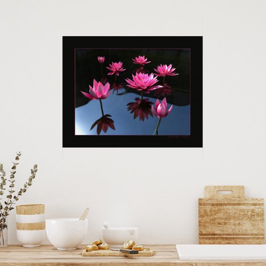 Poster Nénuphars (Cuisine)