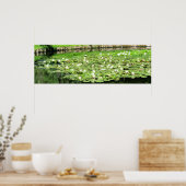 Poster Nénuphars de l'eau du Tiergarten (Cuisine)