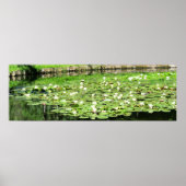 Poster Nénuphars de l'eau du Tiergarten (Devant)