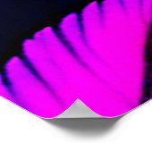 Poster Neon Feather Motif Art Vibrant (Coin)