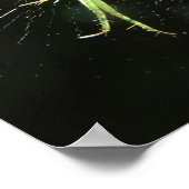 Poster Neon Green Spider (Coin)