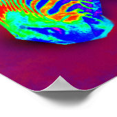 Poster néon zèbre-closeup (Coin)