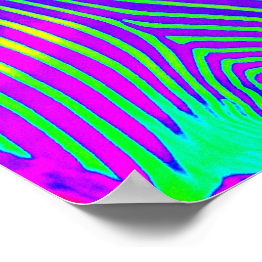 Poster néon zèbre - vert, bleu et violet rétro (Coin)