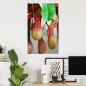 Poster Nepenthes Dangling (Bureau à domicile)