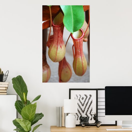 Poster Nepenthes Dangling (Bureau à domicile)