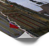 Poster Neptune (Coin)