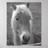 Poster Neptune (Devant)