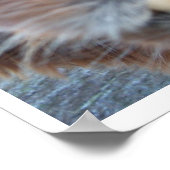 Poster Nerdy Llama (Coin)