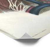 Poster Nerfs de l'anatomie du cou Imprimer (Coin)