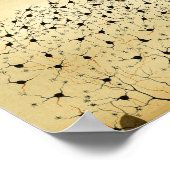 Poster Nerfs vintages du système nerveux central 1886 (Coin)