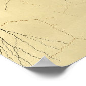 Poster Nerfs vintages du système nerveux central 1886 (Coin)