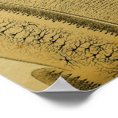 Poster Nerfs vintages du système nerveux central 1886 (Coin)