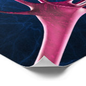 Poster Nerve synapses, computer artwork. (Coin)