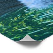 Poster Nessie bébé (Coin)