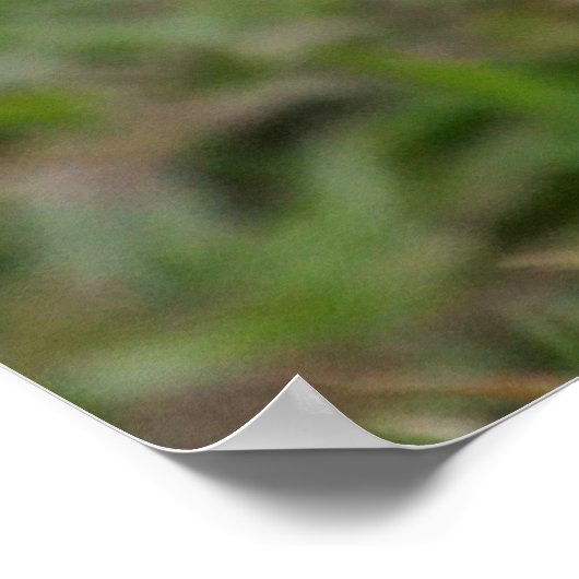 Poster Nest Builder Puffin (Coin)