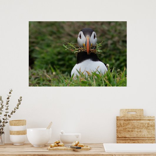 Poster Nest Builder Puffin (Cuisine)